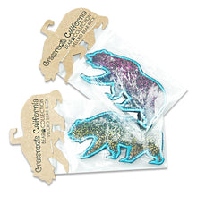 Load image into Gallery viewer, Rainbow Sparkles Removable Bear Patch
