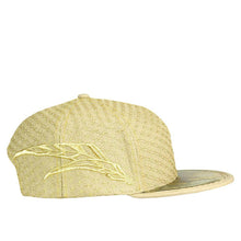 Load image into Gallery viewer, Laser Guided Visions 2020 Gold Snapback Hat
